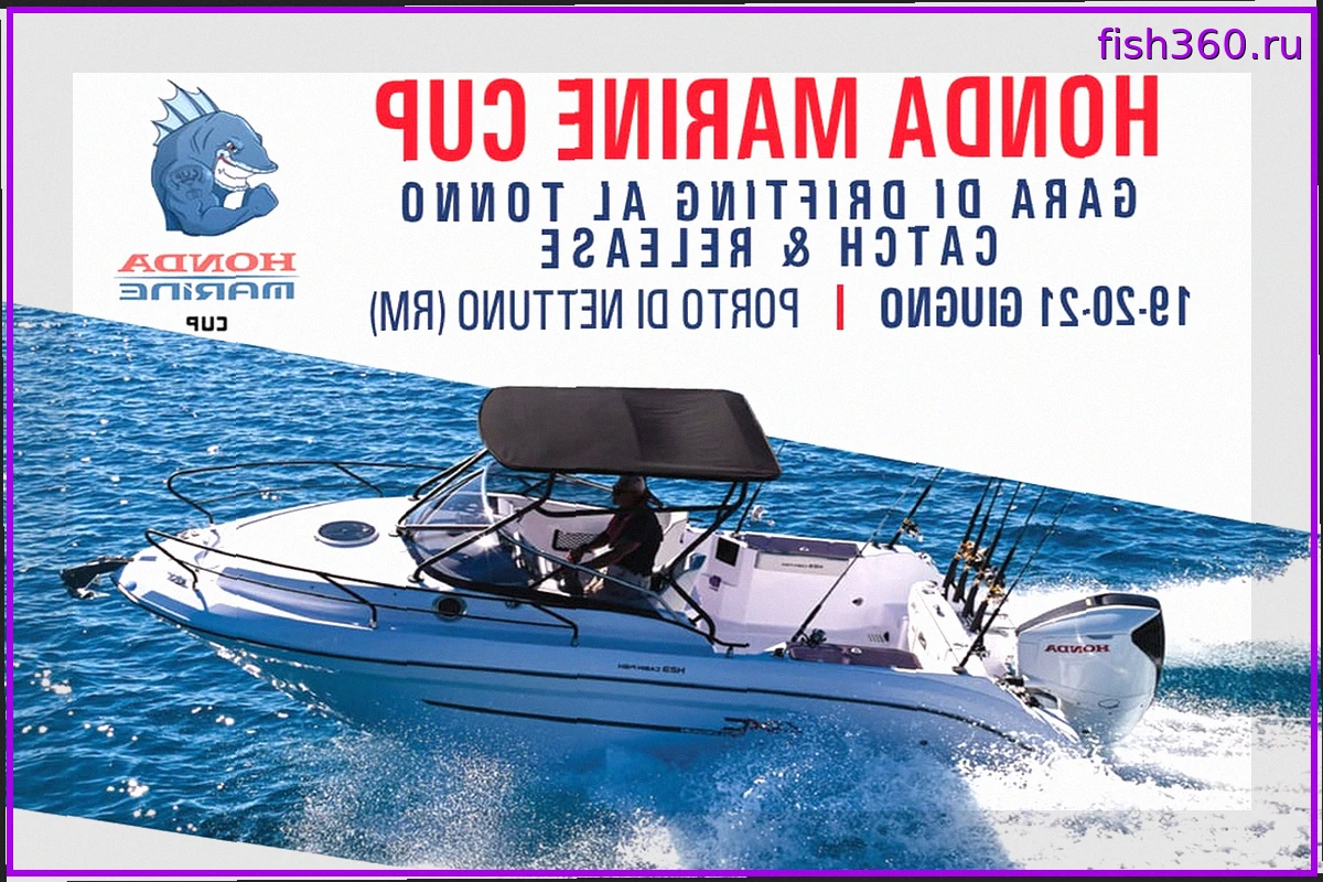 Honda Marine Cup 2026: Соревнования по Дрифтингу в Неттуно